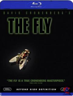  / Fly, The