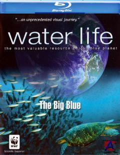   / Water Life
