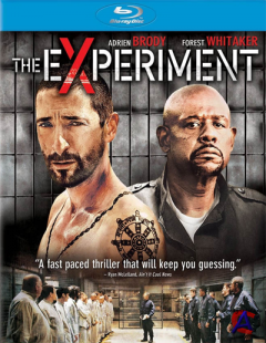  / Experiment, The