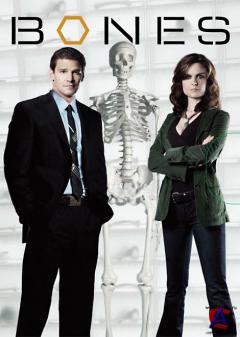  / Bones(6 )