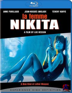    /  / Nikita