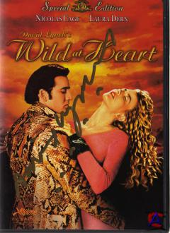   / Wild at Heart