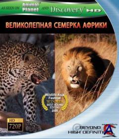 Discovery -    / Africas Super Seven