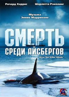    / ,  -  / Orca, the Killer Whale
