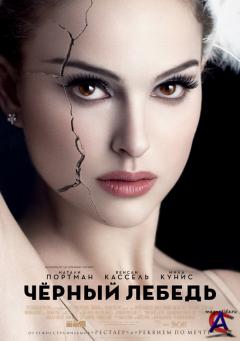 ׸  / Black Swan