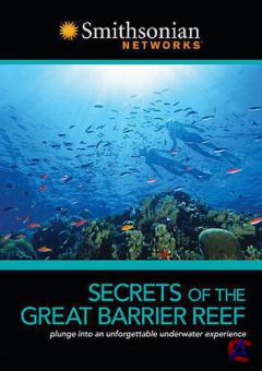     / Secrets of the Great Barrier Reef