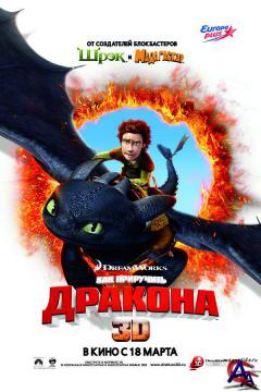    3D / How to Train Your Dragon