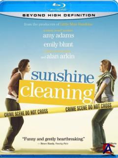   / Sunshine Cleaning