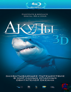  / Sharks