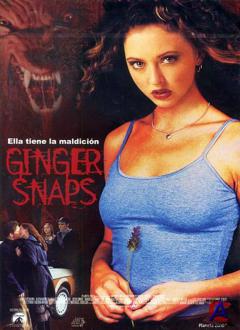  / Ginger Snaps