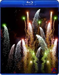   / Discovery Channel: Christmas Lights