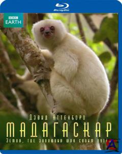 BBC: : ,      / Madagascar: The land where evolution ran wild
