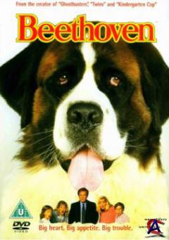  / Beethoven [HD]