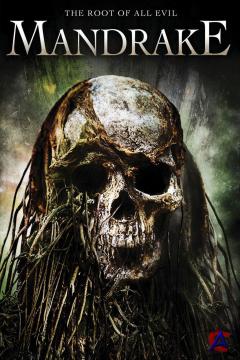    / Mandrake