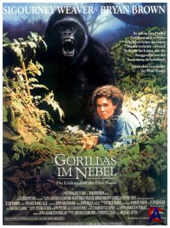    / Gorillas in the Mist: The Story of Dian Fossey