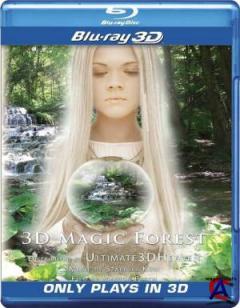   3D / Magic forest 3D