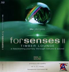   2 / forsenses II