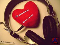 Dj Ydovolstvie - Spring reaction