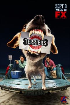  / Terriers (1 )