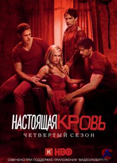   / True Blood(4 )