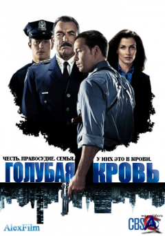  / Blue Bloods (1 )
