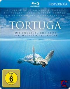    :  / Turtle: The Incredible Journey