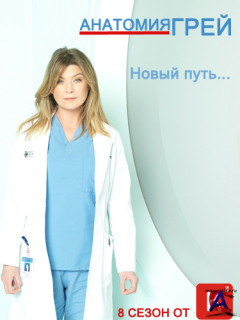   / Greys Anatomy (8 )