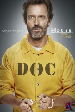   / House, M.D.(8 )