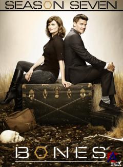  / Bones(7 )