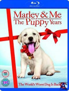    / Marley & Me