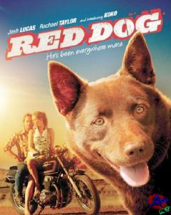   / Red Dog