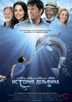   / Dolphin Tale