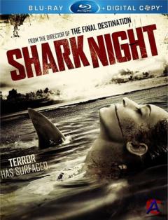  / Shark Night