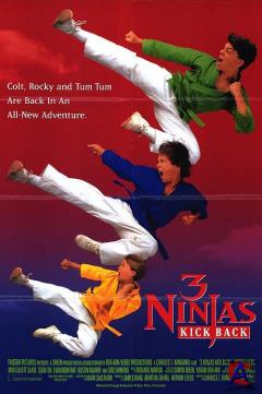   / 3 Ninjas