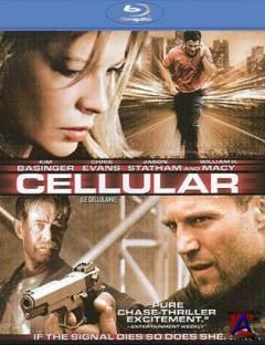  / Cellular [HD]
