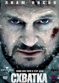  / The Grey