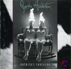 Janes Addiction - Nothings Shocking