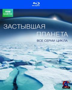 BBC:   /   / Frozen Planet(1 )