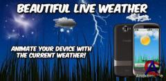 Beautiful Live Weather