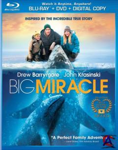    / Big Miracle