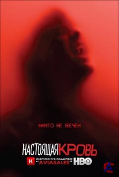   / True Blood (6 )