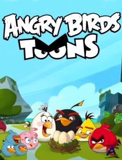   / Angry Birds Toons!