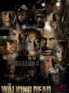   / The Walking Dead (3 - 4 )