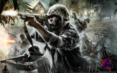 Call of Duty 5 World at War (RUS)()