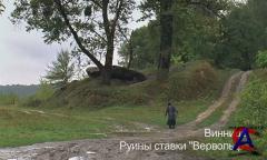    DVDRip