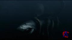 -    / Mega Shark vs. Giant Octopus