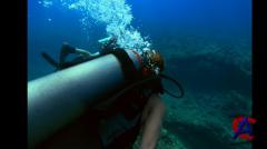     2 / Into the Blue 2: The Reef