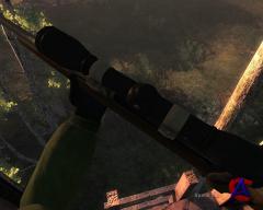 The Hunter