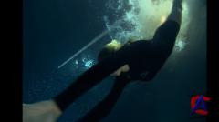    2 / Into the Blue 2: The Reef
