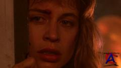  / The Terminator